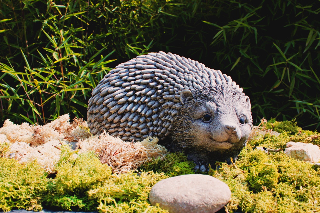 Igel