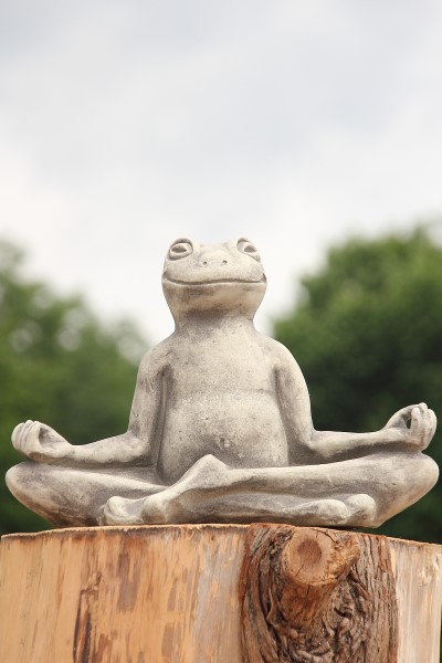 yoga-frosch2