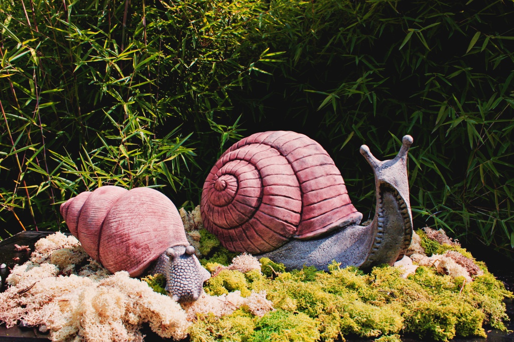 Weinbergschnecke