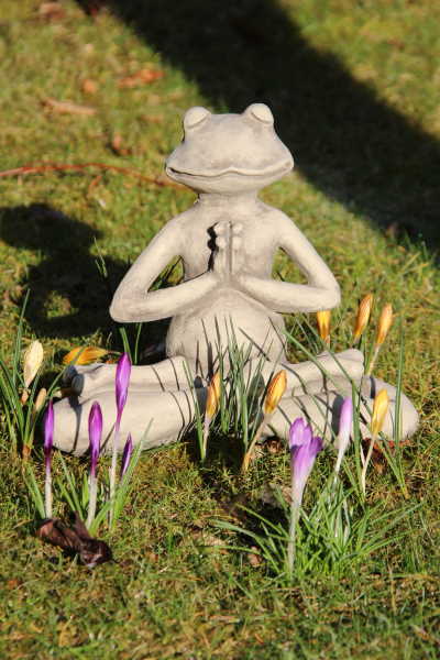 Yoga Frosch- Lotus